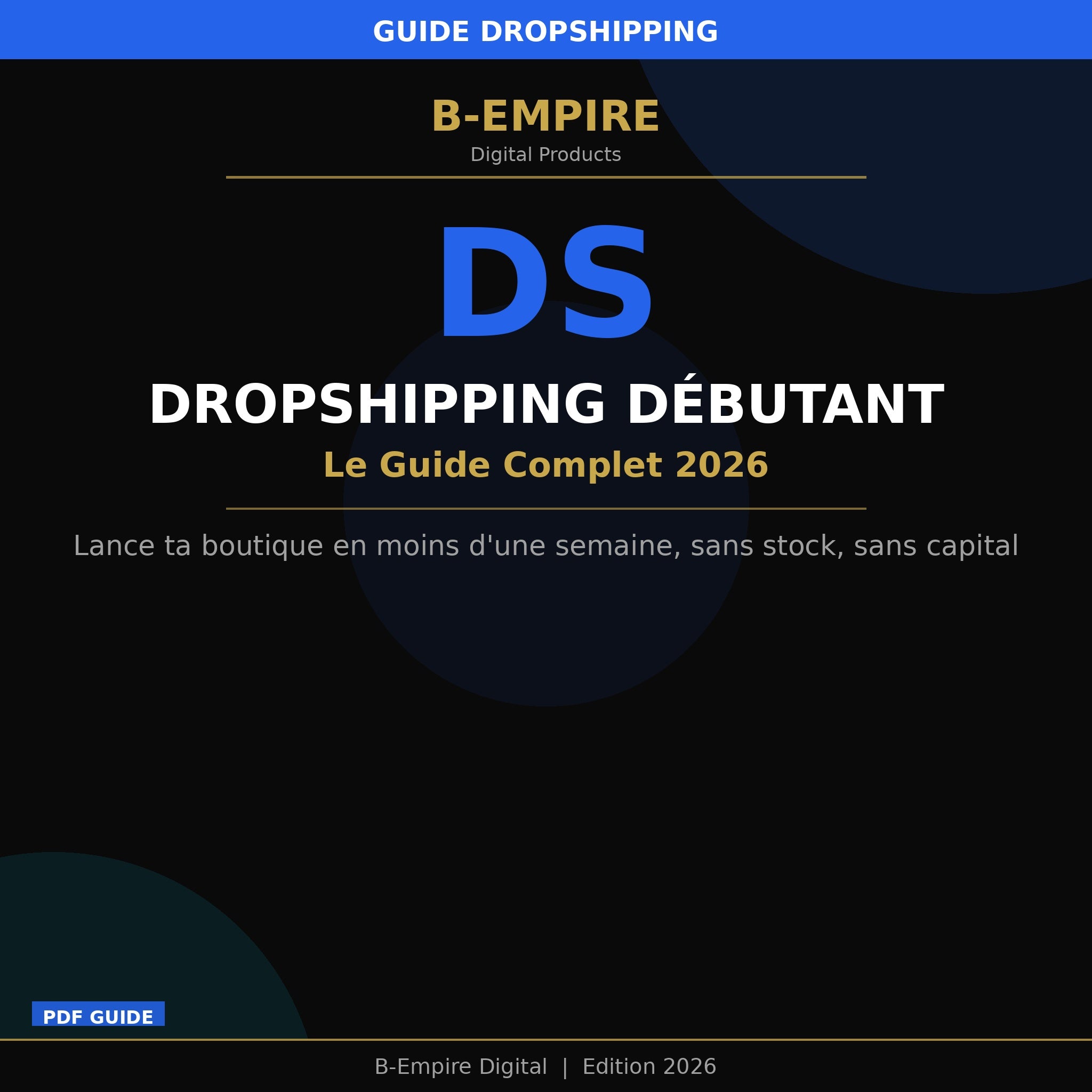 Dropshipping Débutant - B-Empire Digital